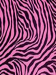 AN 17
